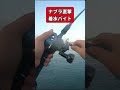 カゴ釣り中のナブラカタブラ #ショアジギング #両軸遠投カゴ釣り