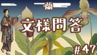 Monyo Q&A #47: Orchids