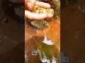 I found $2000 in this red stream #gold #golddigger #goldrush