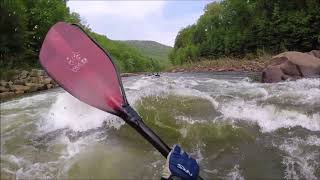 Kayaking the Cheat River WV