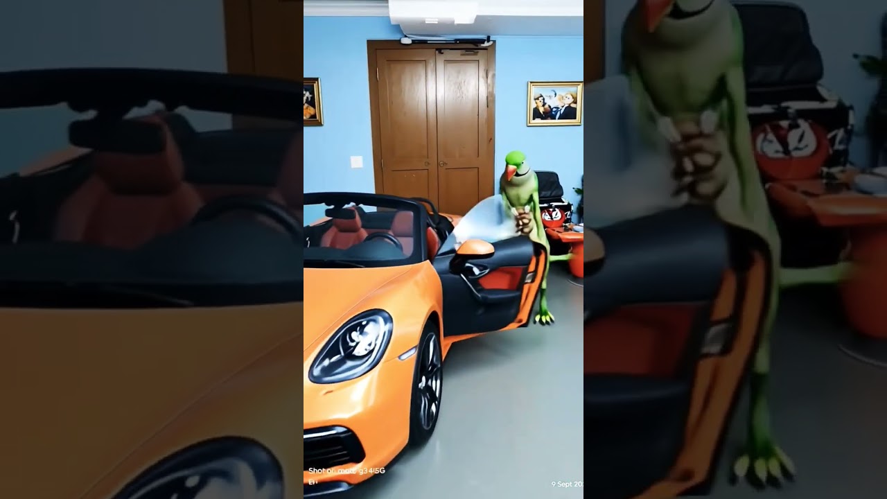 cute parrot driving car AI video 