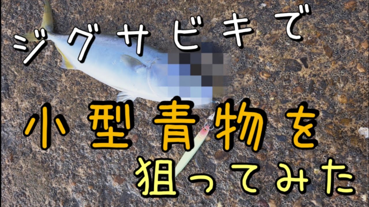 ジグサビキで小型青物を狙ってみた