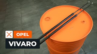 Kuinka korvata Männänrengassarja RENAULT 4 Box (R21_, R23_) - opetusvideo