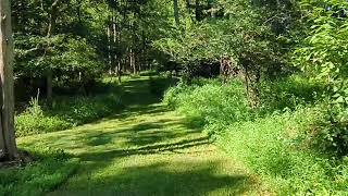 524 Walnut Drive, Lehigh Township PA 18067