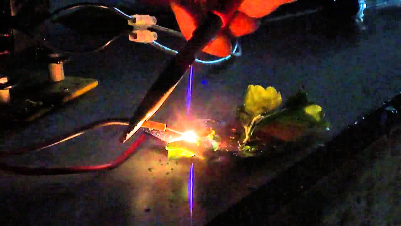500 Volts On a Plant