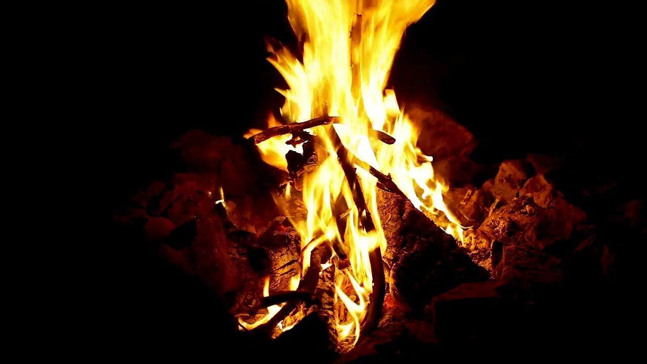лес в огне. звук костра. костер на природе. включи видео звук костра. включи видео звук костра.