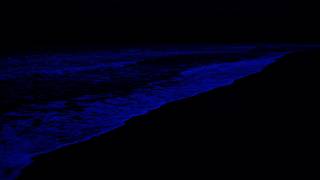 No Ads Sleep Instantly in 3 Minutes with Ocean waves 🌙 Natural Relief for Anxiety Disorders