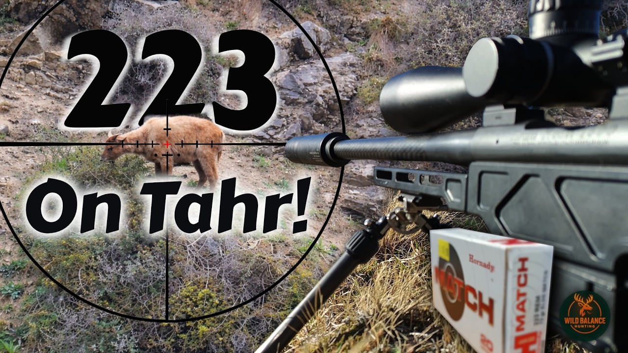 223 on Tahr: Hunting with the Elude Howa Mini and ELD-M ammo in Scenic New Zealand