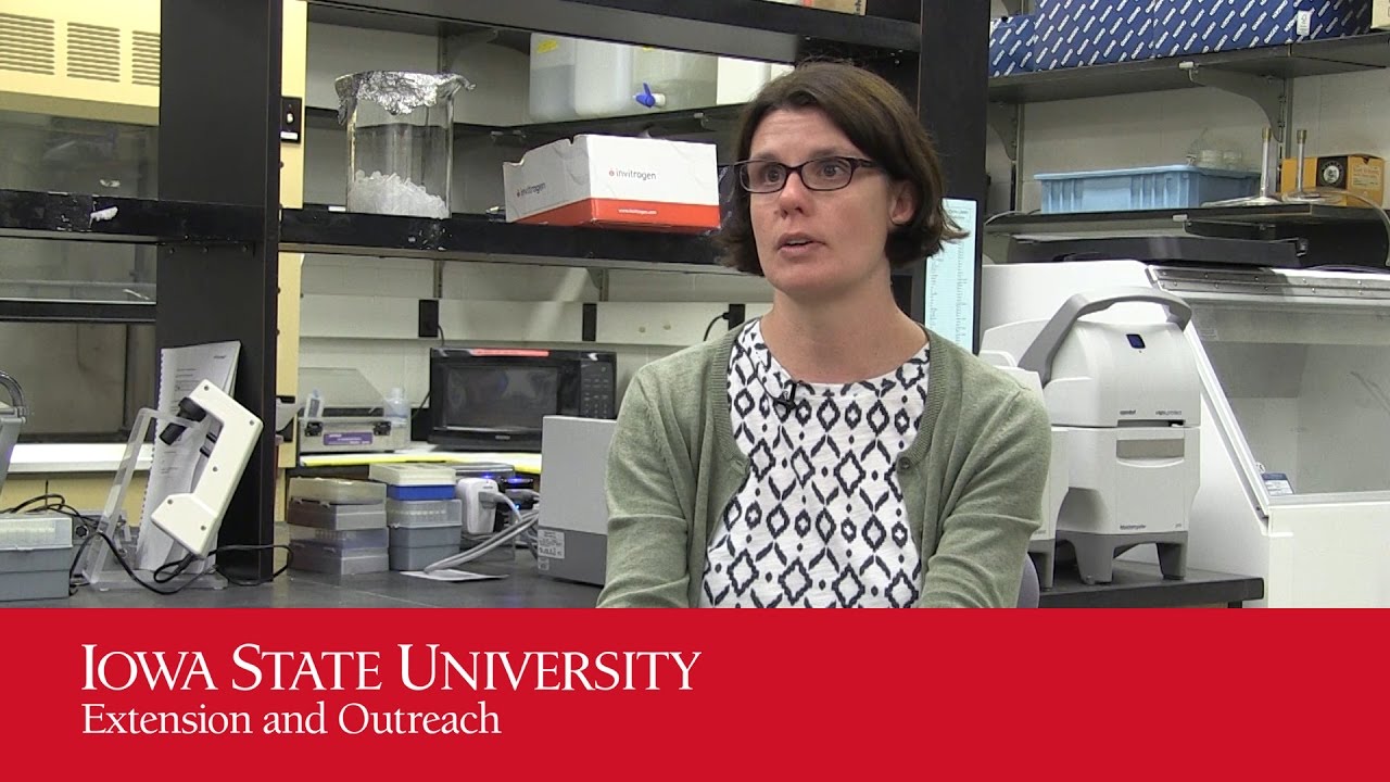 Chronic Wasting Disease in Iowa