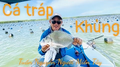 Ra cửa biển cần giờ câu toàn cá tráp và cá ngát khủng,Tuấn Nguyễn Người Miền Tây.