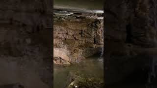 War Eagle Cavern 1