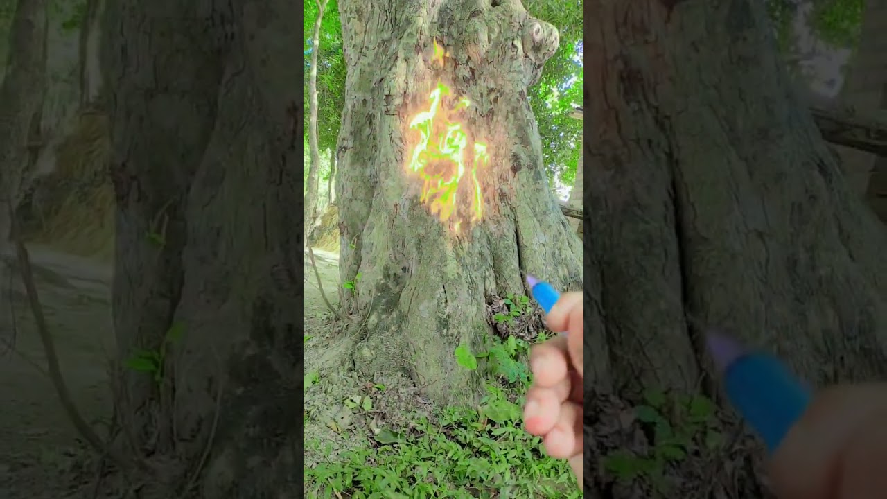 🔥javala maa navrat video youtube short video