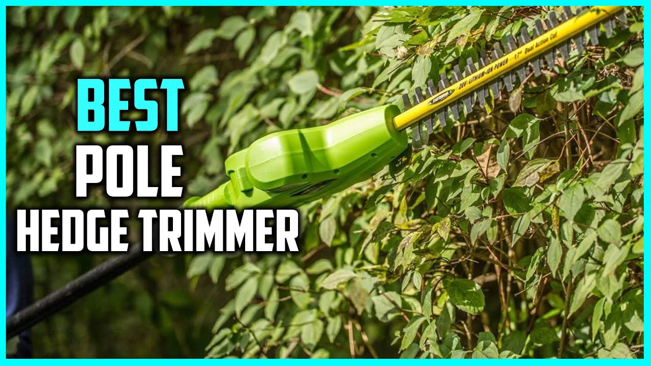 Best Pole Hedge Trimmers in 2023 [Top 5 Review] | Corded Electric ...