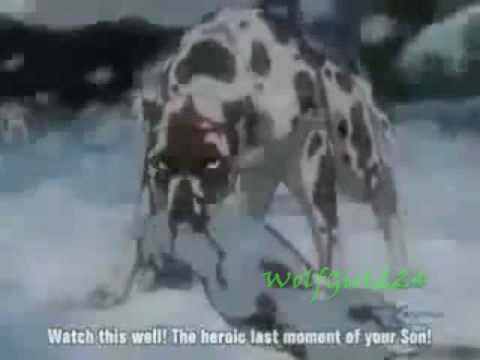ginga densesu weed pain