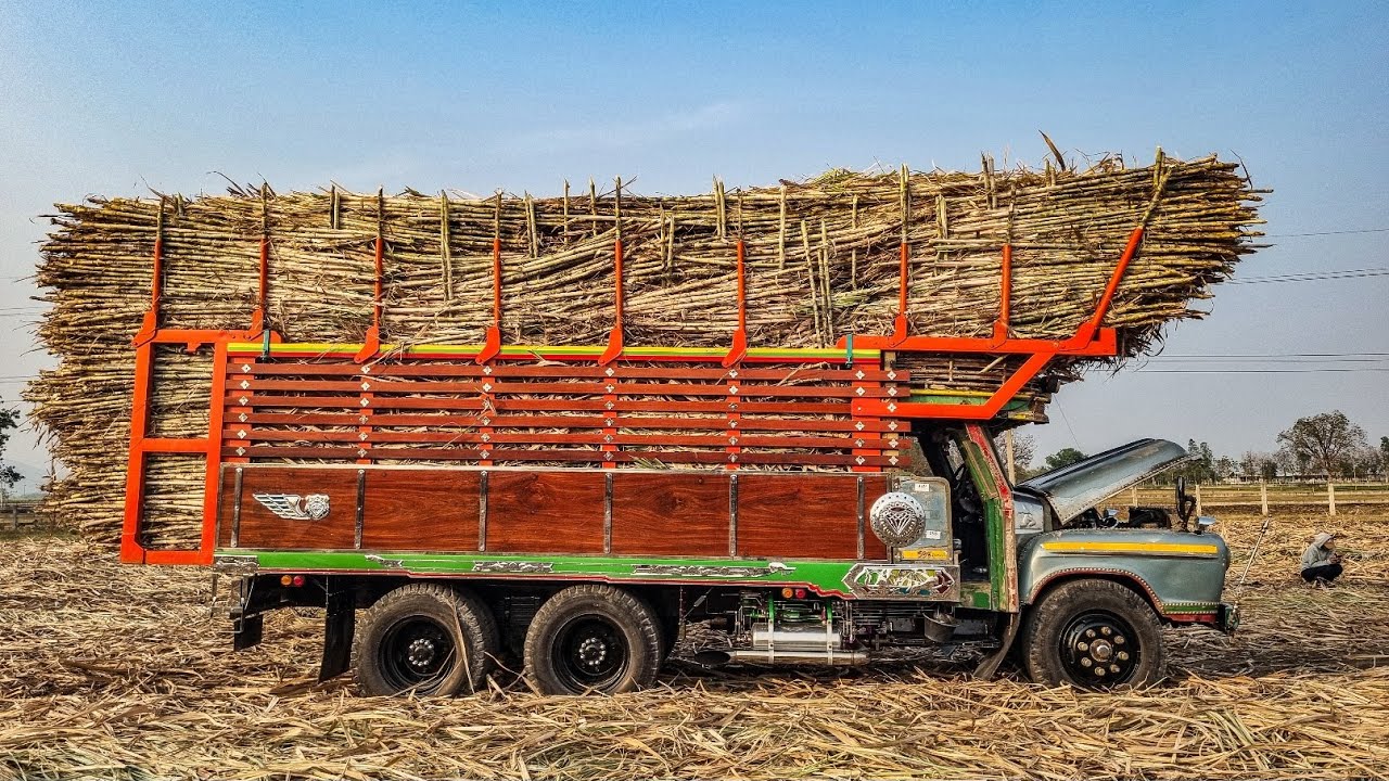 สิบล้อหน้ายาวกระบะไม้วิ่งอ้อย isuzu twd125 คุณปู่ไร่เผดิมชัย พลังฮีโน่สโลอินเตอร์ แรงสุดๆ