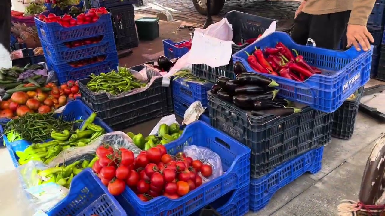 Türkiye’de Ürgüp Mustafapaşa #şifalıbikler #yabaniroka #labada #pfeilkresse (Aşk ve mavi evi)