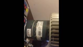 Genteq 34Hp 2.3 Ecm 120240V Furnace Blower Module