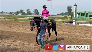 First G1 in Ellis Park’s 101 Year History awards Breeders’ Cup Entry: 2023 Stephen Foster Stakes