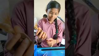 Organic home made mehndi cone #shorts #mehandiart #youtubeshorts #shortsfeed