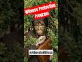 Witness Protection #jehovahswitnesses #exjw #watchtower #cults #christianity #funnyvideo #religion