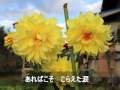 わが人生に悔いなし - 鉄人28号