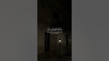 القارئ ماجد خالد العماري✨️ #اكسبلور