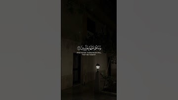 القارئ ماجد خالد العماري✨️ #اكسبلور