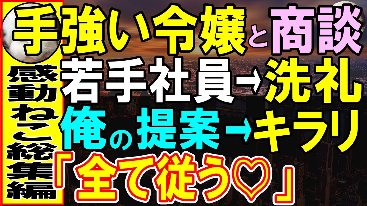 【感動する話】本社に復職した俺を知らないエリート若手社員と取引先へ商談に行くと→取引先の手強い社長令嬢相手に撃沈。俺が代わりにプレゼンした結果【いい話・泣ける話・朗読】