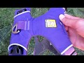 Ruff Wear Front Range Harness Review