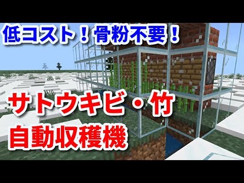 マイクラ統合版 一番簡単 最低コスト 骨粉不要 サトウキビ 竹の全自動収穫機 マインクラフト Youtube