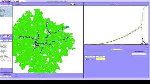 Slime mold like Stochastic Cellular Automaton in NetBioDyn2018