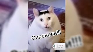 Заходит постоянно недовольный клиент