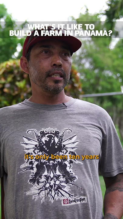 Sunny every day and raining every night on his farm in Panama