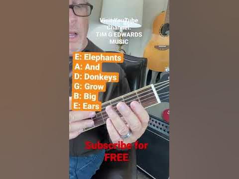OPEN GUITAR STRING NAMES: (E, A, D, G, B, E) Elephants And Donkeys Grow