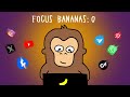 Monkey Can’t Focus (And How to Stop Getting Distracted)