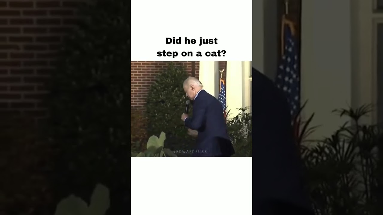 Joe Biden steps on a cat| Viral Memes 2022