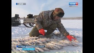 Видео Из рыбацкой сети во всемирную. Теперь каждая рыбка будет состоять на учете в интернете (автор: Вести Ямал)