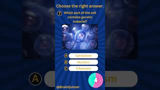 Quiz for anyone, type in the first answer that came to your mind, be honest :)