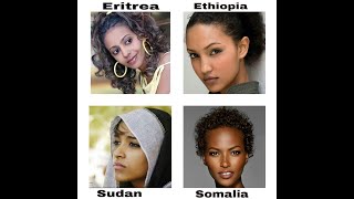 #eritrea 🇪🇷 music "zara haftey" screenshot 4