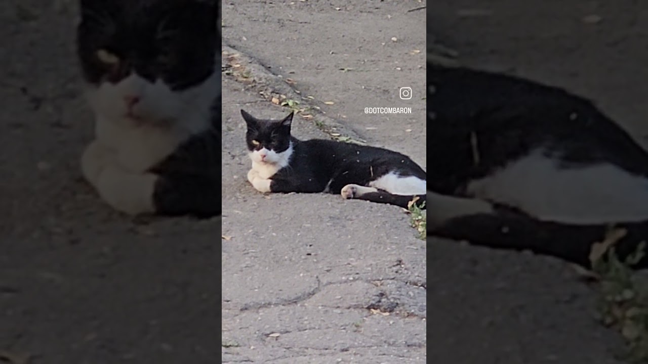 Felt INSTANTLY safe 😂 