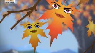 Don’t Burn Leaves