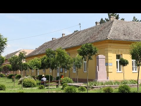 Видео: Кои са католици