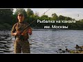 Рыбалка на канале им.Москвы. Попался крупный Окунь.