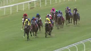 Vidéo de la course PMU PRIX 4RACING PINNACLE STAKES