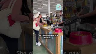 A Day Out For Sweet Pea