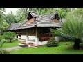 Kerala house gardens