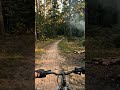POV: Cycling in Forest Campfire Dirt Loop#bikeride #cycling #pov #viral #shorts