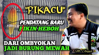 AKSI & Perjalanan Lovebird 