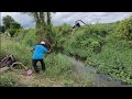 FISHER MAN Fishing in Deep ponds |Best small single hook fishing |TILAPIAFISHES FISHING IN Village |