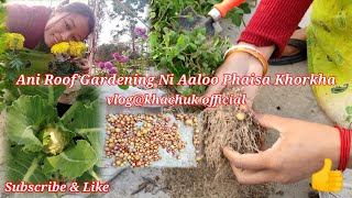 Ani Roof Garden Ni First Aaloo || Tini Khor Kha || vlog@khachuk official ||